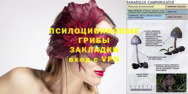 ешки Ладушкин