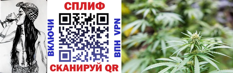 Купить где  Серпухов  Конопля Amnesia 